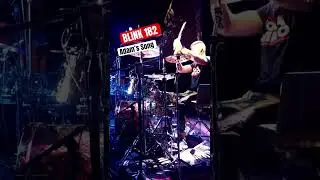 BLINK 182 - Adam’s Song (Live Rovigo)