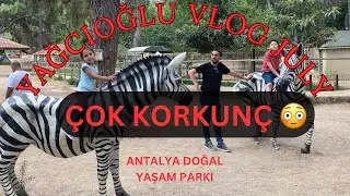 HAYVANLAR HER YERDE BİZİ BULUR 😅 Ama Bu Sefer Farklı 😳 #vlog #hayvanlar #vahşi