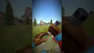 #rust