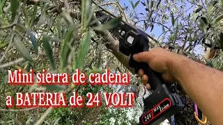 24 VOLT BATTERY-POWERED MINI CHAINSAW