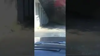 03.08.2019 Красная поляна дорога на Нарзан город Сочи