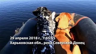 плавание на лодках по Северскому Донцу - большой разлив