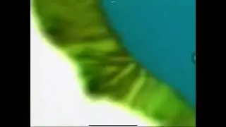 Rai 3 - Sigla Meteo (2000) @XimoCanale57 