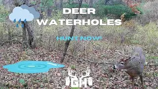 Whitetail Strategy // Deer Waterhole Hunting // GUNNAR HANSON