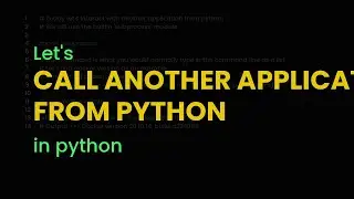 Call another application from python