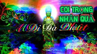 Coi Trọng Nhân Quả - Hòa Thượng Tịnh Không (Quy Luật Vạn Vật Của Vũ Trụ)