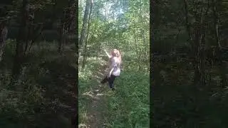 🍀🌿🍃