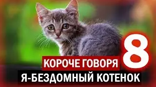 КОРОЧЕ ГОВОРЯ, Я БЕЗДОМНЫЙ КОТЕНОК 8 [От первого лица] ИСТОРИЯ ОДНОЙ ЖИЗНИ. Я БЕЗДОМНЫЙ ЩЕНОК