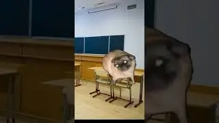Пов: Я иду в школу.