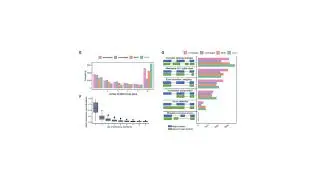 Characterization of single cell full-length isoforms in human and mouse with long-read sequencing