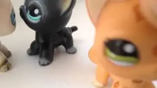 LPS:Мой рай-music video