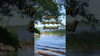 С добрым прекрасным утром! 💐