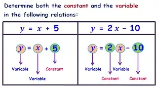 Constant and a Variable in math