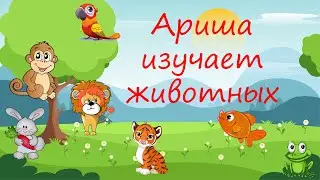 Lesson 8. How are you? Изучаем названия английский животных! Звуки ar, ch.