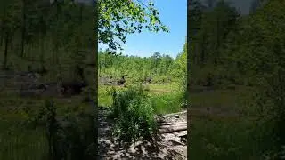 Серебряный ключ г.Комсомольск-на-Амуре. Местные красоты.