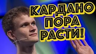 Жизнь, смерть, богатство и Кардано АДА - одна интересная история!