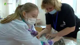 «Дороничи» поддержали региональный чемпионат «Молодые профессионалы» (WorldSkills)