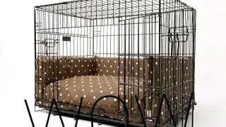 ice scream ме сложи в кучешка клетка Ice scream 4 #icecream