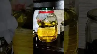 Висельник на кумквате, быстро и вкусно