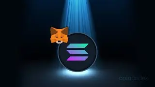 Solana Wallet Metamask - Add Solana Network to Phantom Wallet 2024 Step by Step