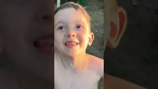 1 июня 2024 г.