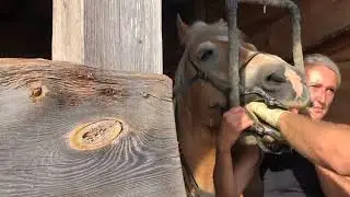 Der Zahnarzt kommt!🥰 //Sept 22