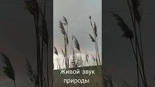 29 апреля 2023 г.