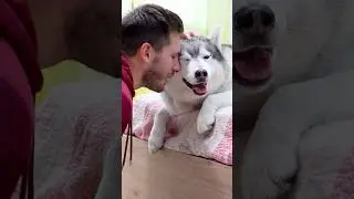POV: Quando fai un DANNO ma dai la COLPA al tuo CANE!🙈🐶🫢 