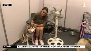 Le Salon des Zanimos a ouvert ses portes aujourd’hui à la Nordev, jusqu’à ce lundi de Pentecôte.