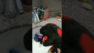 hey get out of here this is my house