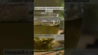 Ceai de coada-șoricelului pentru digestie