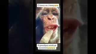ОЗВУЧКА
