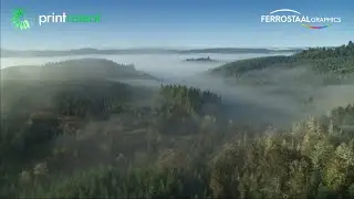 PrintReleaf: Compensación ambiental certificada para la industria gráfica y de etiquetas/embalajes.