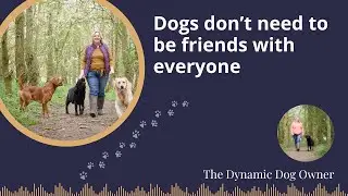 Dogs don't need to be friends with everyone