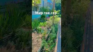 На фото всегда лучше,чем в реальности😞