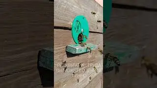 Принимаем заказы! 
