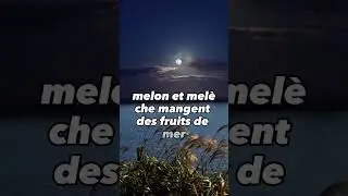 Melon et meleche...