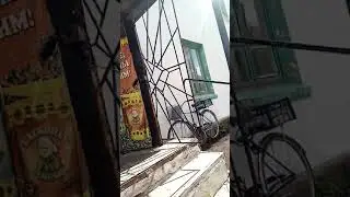 Горняк нелегальная продажа табака