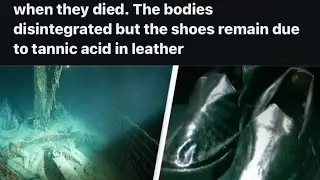 For Sale: Salty Shoes, Never Worn.