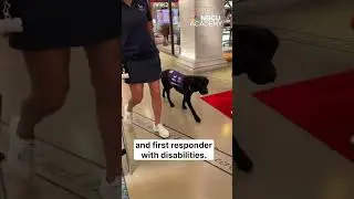 Meet Atlas, the Puppy With a Purpose!