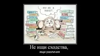 Предложение от секты: «Свидетели жопы Хэнка»