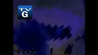 I Accidentally Wavetvsky Wavetvpo