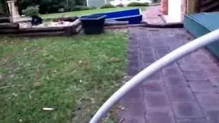 Scootering and bmxing