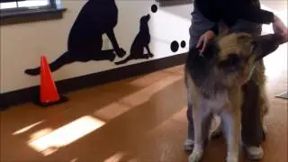 Rehabilitation Home Exercises - Cookie Stretch