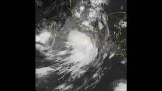 Tropical Depression 11E (2024)