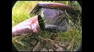 Коктебель.1997 год.(04)(Личный архив)