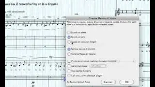The Music Transcriber: Messa Di Voce Offset Function