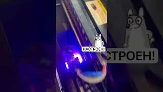 УФ принтер переделанный из Epson 3090 #ремонтмосква #ремонтпринтеров #москва #ремонтноутбуков