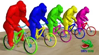 learn colors and learn number