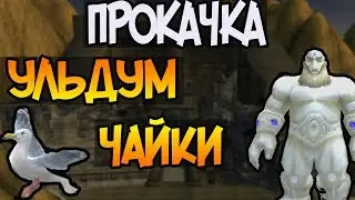 Pandawow x100 | Секреты быстрой прокачки | СОЛО